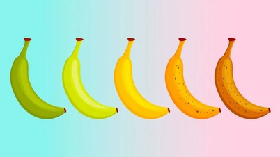 كيف تتغير القيمة الغذائية للموز بتغير مستوى نضجه؟