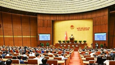 Gjennom befolkningsloven prioriteres kjøp av sosialboliger for personer med to eller flere biologiske barn.