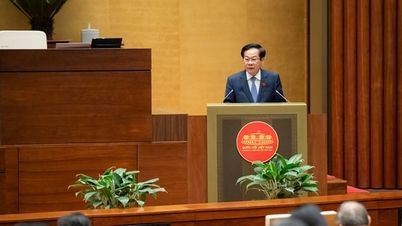 Rekruttering, ansettelse og ledelse av offentlig ansatte i henhold til stillinger.