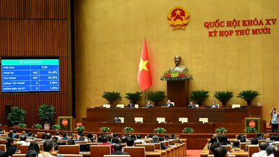 Государственным служащим разрешается инвестировать в предприятия и управлять ими с 1 июля 2026 года.