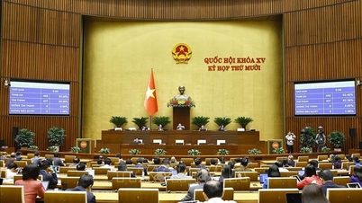 직무에 맞춰 조직 개편을 시행하고 인력의 질을 향상시키십시오.