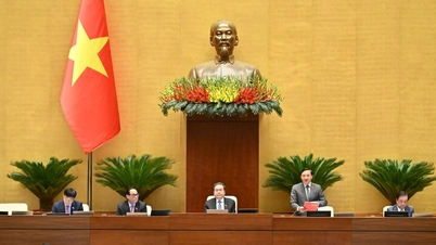 The National Assembly passed the Law amending and supplementing a number of articles of the Law on Intellectual Property.