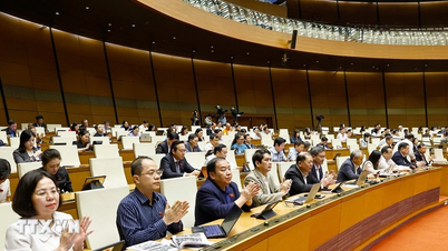 직무에 맞춰 공무원 인력 구조를 개편하고 질을 향상시켜야 합니다.