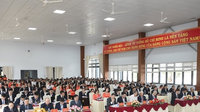 Lam Dong Aluminum ist bereit für neue Entwicklungen.