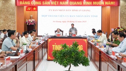 این جیانگ کی صوبائی پیپلز کمیٹی کے ارکان کے اجلاس میں کئی اہم بات چیت کے ذریعے۔