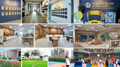 តើអ្វីជា 'រដ្ឋាភិបាលស្ថាបនា' នៅក្នុងក្រសែភ្នែករបស់អាជីវកម្ម?