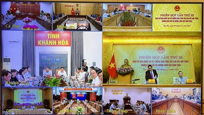 100 % av fiskefartøyene er registrert på VNFishbase.