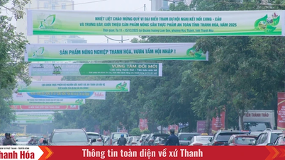 2025년 탄화 수급 연계 컨퍼런스에는 300개의 부스가 마련되어 일반 시민들에게 서비스를 제공할 준비를 마쳤습니다.