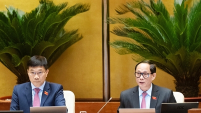 A Assembleia Nacional aprovou a Lei que altera e complementa diversos artigos da Lei sobre Tratados Internacionais.