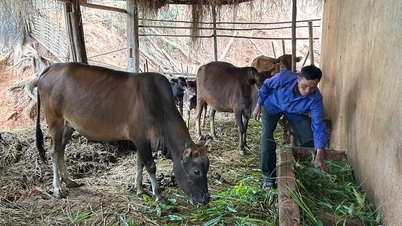 Účinnost programu 1719 v obci Muong Khieng