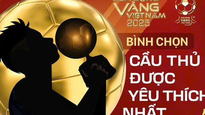 جائزة الكرة الذهبية الفيتنامية 2025: فتح باب التصويت لاختيار "اللاعب الأكثر شعبية"