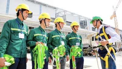 직장 안전 문화 조성을 촉진합니다.