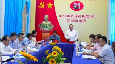 L'équipe d'inspection n° 39 du Comité provincial du Parti a travaillé avec les Comités du Parti des communes de Ninh Quoi et Chau Thoi.