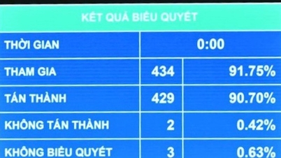 L’Assemblée nationale adopte la loi sur l’intelligence artificielle : elle complète le cadre juridique pour l’ère numérique.