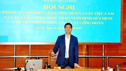 Strengthening the legal framework and enhancing the representative capacity of trade unions.