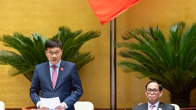 राष्ट्रीय विधानसभा ने सांख्यिकी कानून के कई अनुच्छेदों में संशोधन और पूरक करने वाला कानून पारित किया।