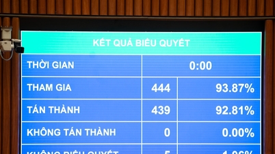 नागरिकों के स्वागत संबंधी अधिकार को प्रतिनिधियों को सौंपने की अनुमति न दें, और एजेंसी के प्रमुख की प्रत्यक्ष जिम्मेदारी को बढ़ाएं।