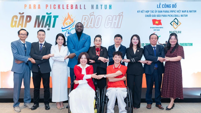 Ra mắt chuỗi giải Pickleball dành cho người khuyết tật