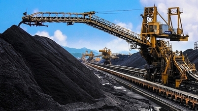 ভিয়েতনাম কয়লা ও খনিজ শিল্প গোষ্ঠীর জন্য একটি বিশেষ ব্যবস্থা প্রস্তাব করা।