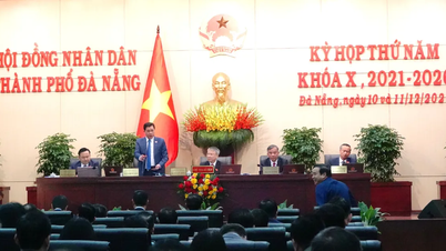 ນະຄອນ ດ່າໜັງ ພວມພິຈາລະນາການຫັນປ່ຽນປ່າກະຖິນ ແລະ ກວດກາຄືນຂັ້ນຕອນການລະບາຍນ້ຳ.