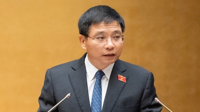 حددت الجمعية الوطنية هدفاً لفيتنام يتمثل في أن تصبح دولة متقدمة ذات دخل مرتفع بحلول عام 2050.