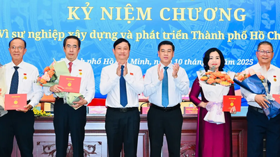 شهر هوشی مین در ایفای نقش رهبری خود، ایجاد شرایطی برای حل مشکلات اجتماعی مردم، به خوبی عمل می‌کند.