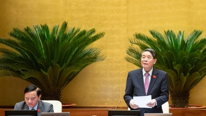 Zgromadzenie Narodowe uchwaliło ustawę zmieniającą i uzupełniającą szereg artykułów ustawy o cenach.