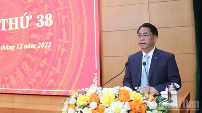 Trotz aller Schwierigkeiten erzielte Cao Bang eine relativ hohe Wachstumsrate.