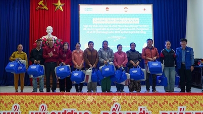 Akut hjälp har tillhandahållits till över 600 personer i Da Nang som drabbats av naturkatastrofer.