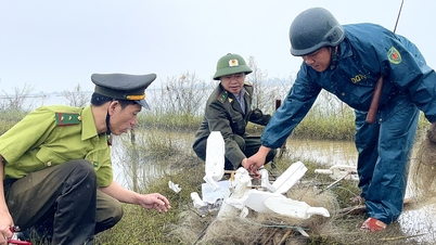 Desmantelamiento y destrucción de cientos de metros de redes, trampas de espuma, estacas de bambú, etc., utilizadas para la caza de aves silvestres.