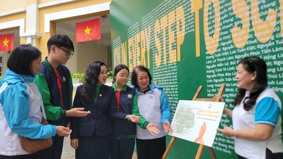 با دین وارد، راهکارهای برابری جنسیتی را در فضای آنلاین ترویج می‌دهد.