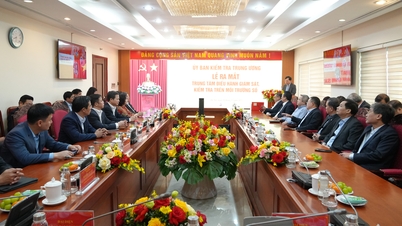 La Comisión Central de Inspección lanza un centro de operaciones de monitoreo e inspección digital.