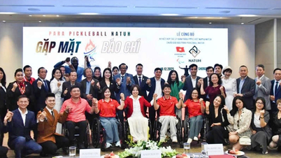 The Paranatuh Pickleball series is for people with disabilities.