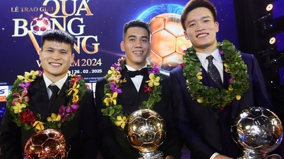 Vietnam Altın Top Ödülünün Değeri