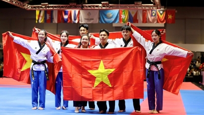 Taekwondo besegrade värdnationen Thailand och tog hem Vietnams andra guldmedalj.