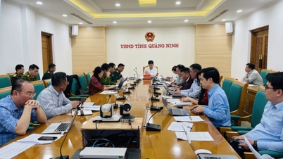 Finalizar y emitir urgentemente el Plan de Defensa Civil, Respuesta a Incidentes, Socorro en Desastres y Búsqueda y Rescate para el período 2025-2030.