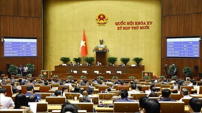 Institutionnaliser des politiques visant à développer efficacement des ressources humaines de haute qualité.