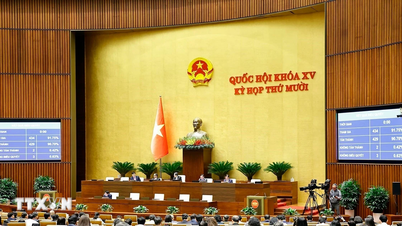 10वां सत्र, 15वीं राष्ट्रीय सभा: राष्ट्रीय सभा ने कृत्रिम बुद्धिमत्ता संबंधी कानून पारित किया।