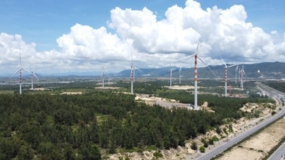 Loạt dự án điện gió tại Gia Lai công bố nhà đầu tư đăng ký thực hiện