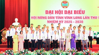 ກອງປະຊຸມກະກຽມກອງປະຊຸມໃຫຍ່ຄັ້ງທີ I ຂອງສະມາຄົມຊາວກະສິກອນແຂວງວິ້ງລອງ