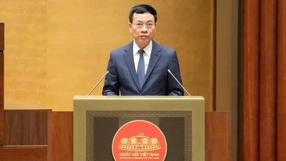 Recognizing technology as a valuable asset, it can be used to contribute capital to the project.