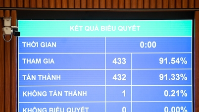 राष्ट्रीय विधानसभा ने सार्वजनिक ऋण प्रबंधन संबंधी कानून के कई अनुच्छेदों में संशोधन और पूरक करने वाला कानून पारित किया।