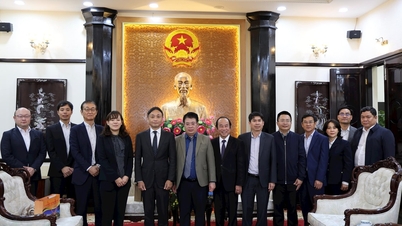 Provincia Lam Dong primește delegația JETRO pentru a afla mai multe despre mediul investițional.