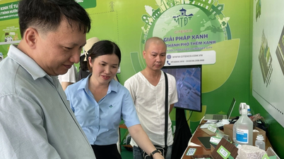 Gröna investeringar: En global trend och politiska konsekvenser för Vietnam.