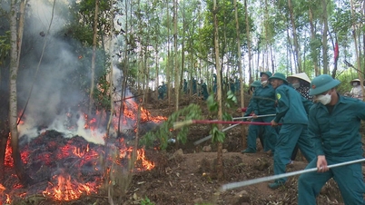 Bắc Ninh: Cảnh báo nguy cơ cháy rừng ở cấp IV (cấp nguy hiểm) trên toàn bộ các địa bàn có rừng