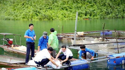 מקסום האפקטיביות של מודל קבוצת ההרחבה החקלאית הקהילתית.
