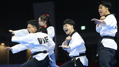 ការ​សម្ដែង​កម្រិត​ពិភពលោក​នាំ​យក​មេដាយ​មាស​ដល់​កីឡា​តេក្វាន់ដូ​វៀតណាម។