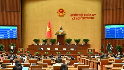 De Nationale Vergadering heeft de wet aangenomen tot wijziging en aanvulling van een aantal artikelen van de Wet op het Verzekeringsbedrijf.