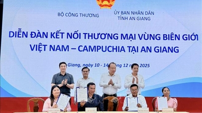 ការកែលម្អហេដ្ឋារចនាសម្ព័ន្ធពាណិជ្ជកម្មតាមព្រំដែន៖ ការទម្លុះរបាំងពាណិជ្ជកម្ម។