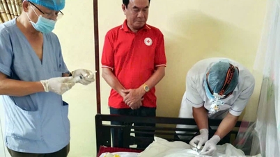 По всей провинции: более 15 000 человек зарегистрировались в качестве доноров тканей, органов и роговиц для медицинских целей.